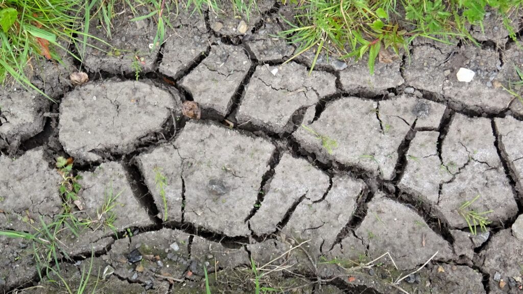 Terreno secco e screpolato dopo un lungo periodo di siccità